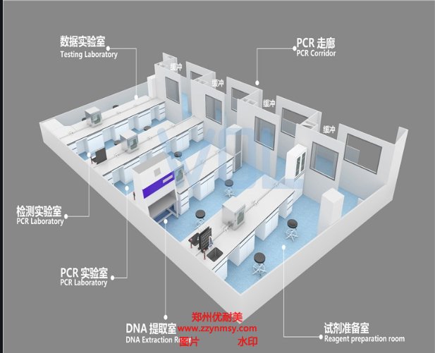 鄭州PCR實驗室設計有哪些注意事項？